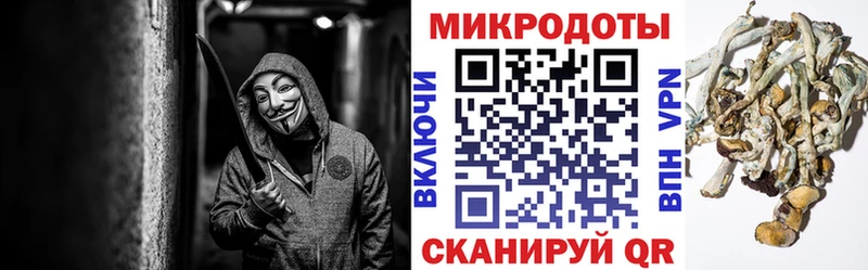 Псилоцибиновые грибы мухоморы  Можга 